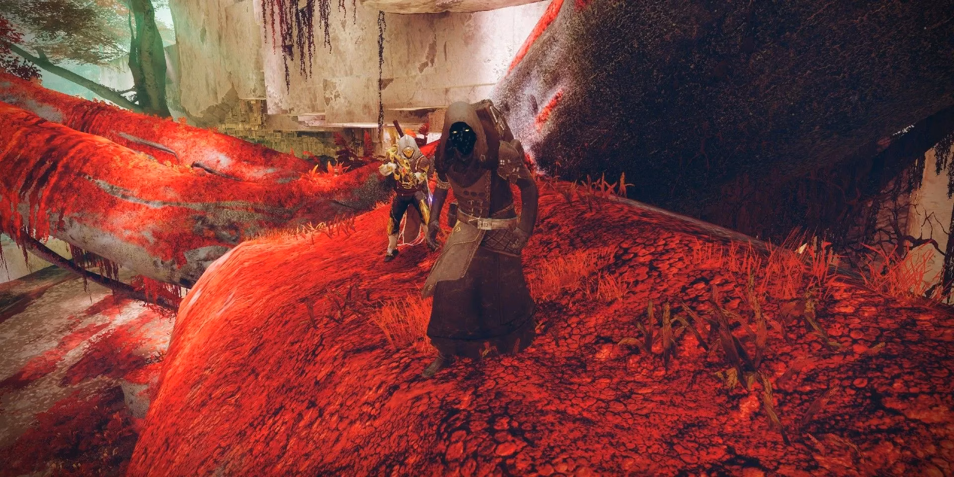 destiny-2-xur-s-watcher-s-grave-loot-haul-still-offers-timeless-lessons-image-0